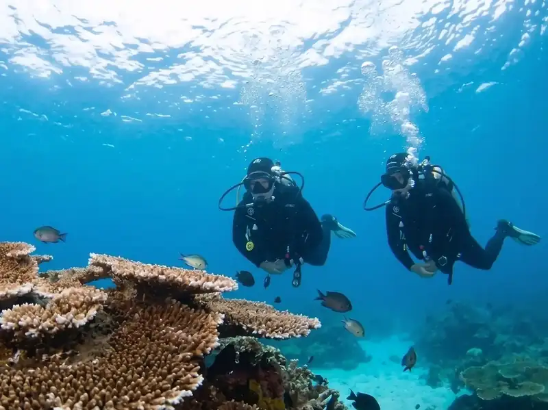 An expert dive buddy guiding scuba divers along the reef with Dayang Resort in the Semporna Islands area.