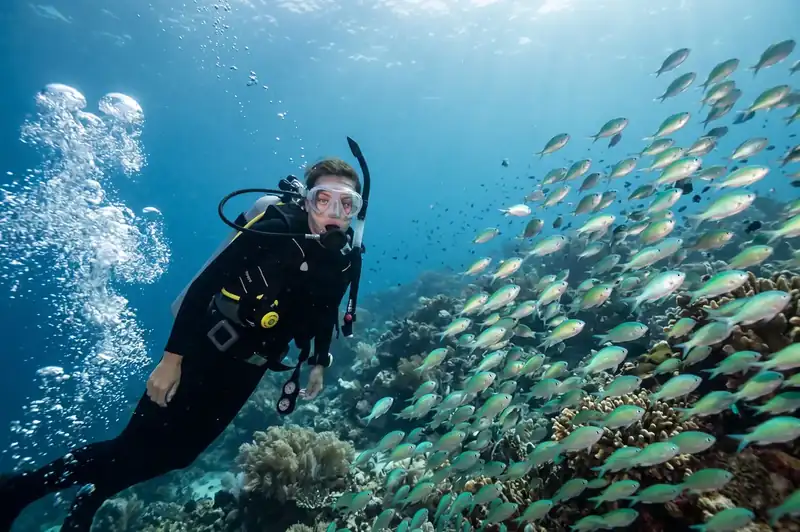 Divers exploring the reefs of the Sipadan Marine Park Dayang Resort