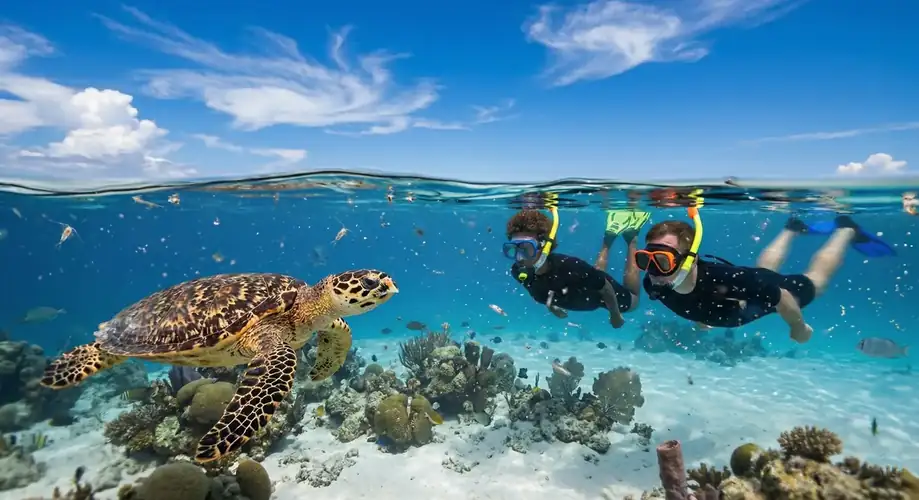 Encountering a sea turtle while snorkeling in Semporna Dayang Resort